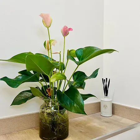 Elegant 3-bedroom * Antwerp