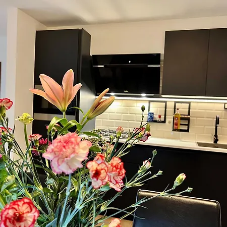 Apartment Elegant 3-bedroom *